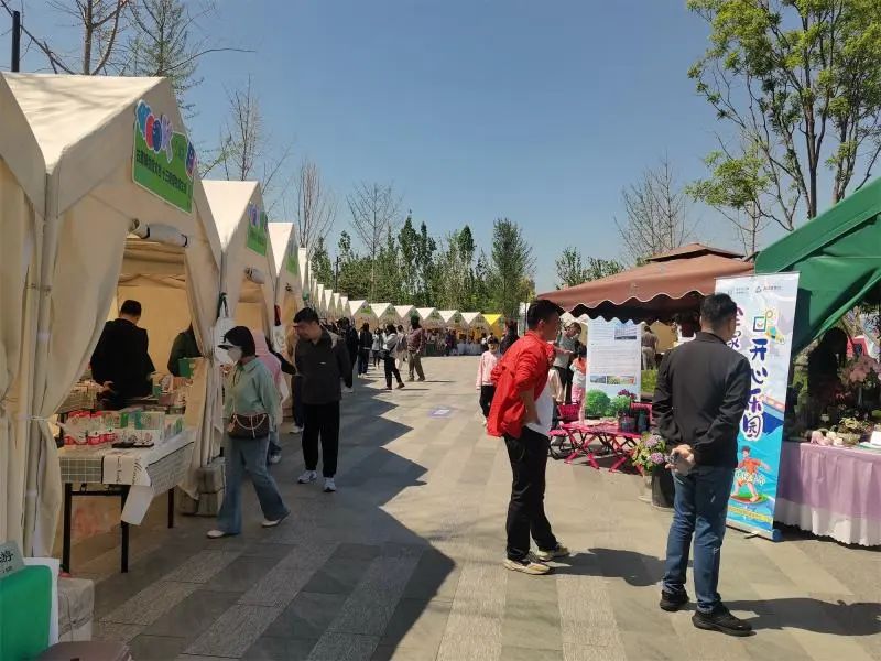 北京新能源车一网通首发文章