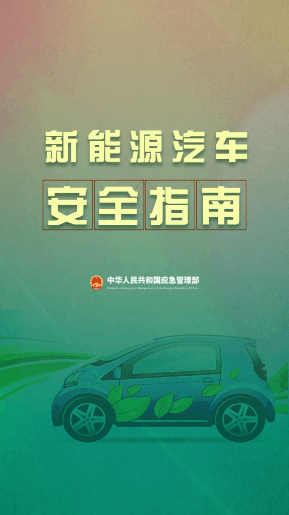 全国人大代表王红梅：新能源汽车充电使用，必知这些事！