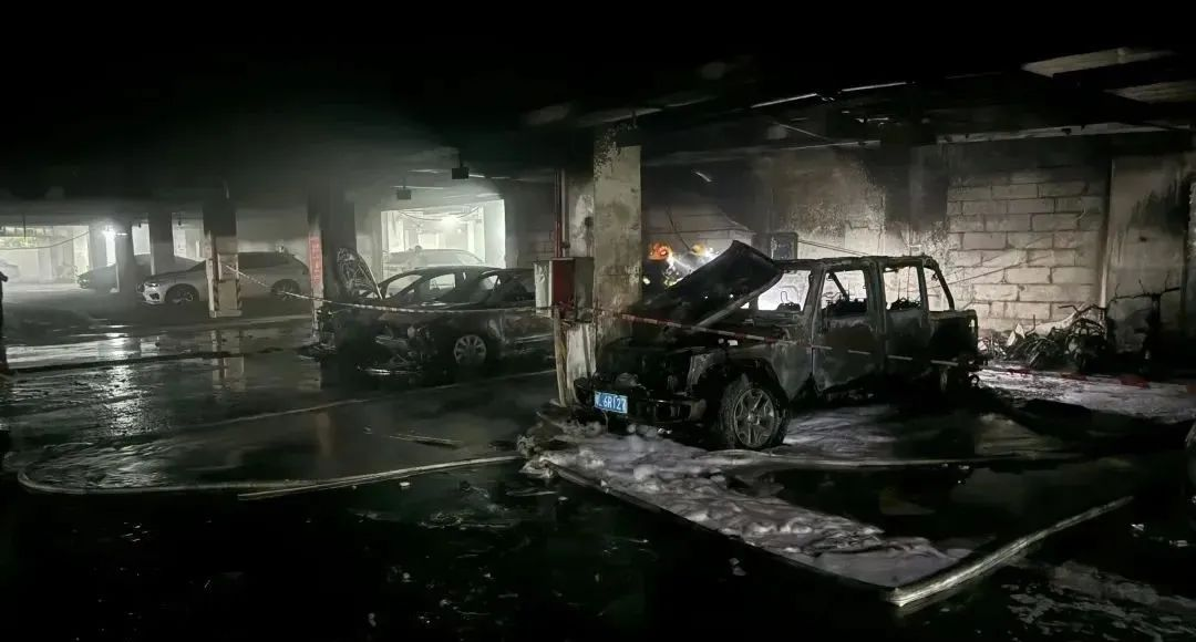 全国人大代表王红梅：新能源汽车充电使用，必知这些事！